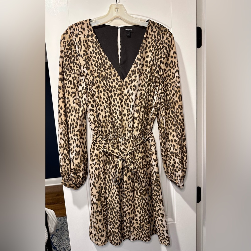 Leopard Print Long Sleeve Dress